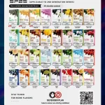 SP2S煙彈原裝正品 通用各種1代主機