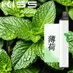 KIS5拋棄式電子煙-薄荷